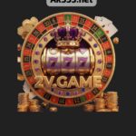 2v game