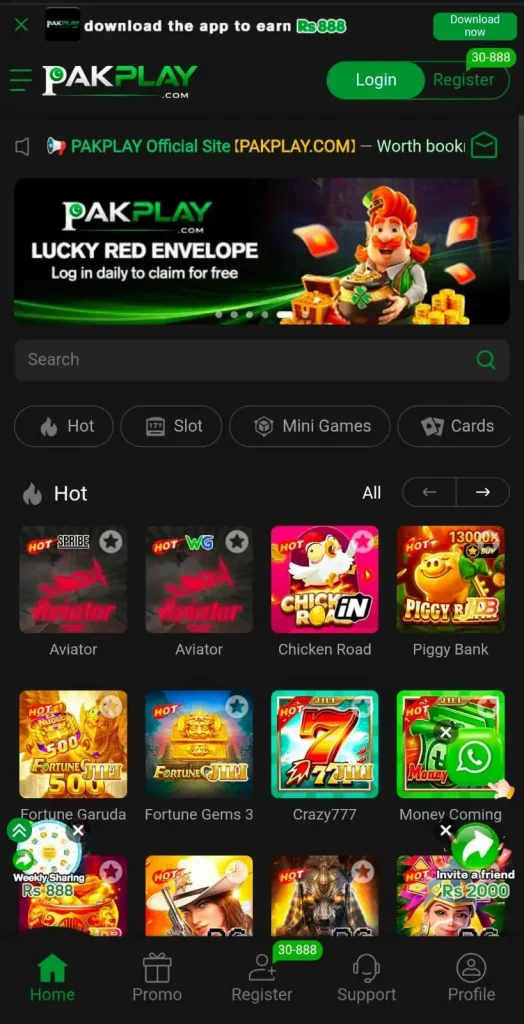Pakplay game